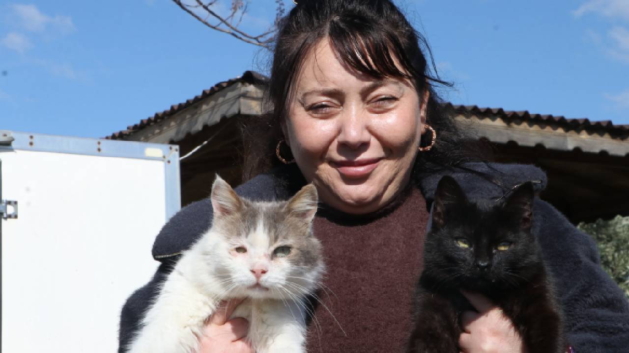 Tekirdağ'da yaşayan Selma Demir, 10 yıldır sokak kedileri için gönüllü besleme ve tedavi faaliyetleri yürütüyor. Yüzlerce kediyi sahiplendiren Demir'in ilham veren hikayesi.